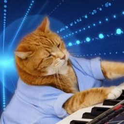 Keyboard Cat icon