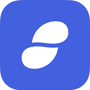 SNT Icon