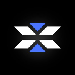 X Icon